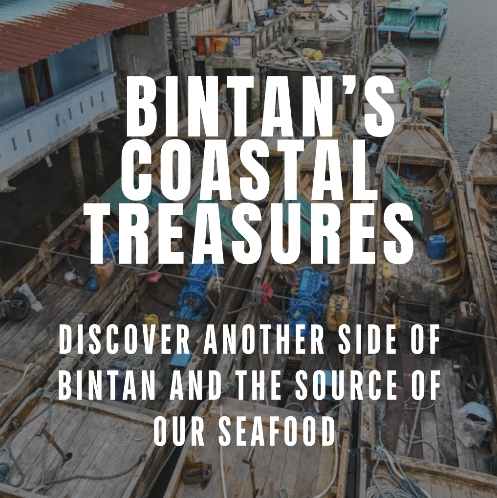 Fishy Travels: Bintan's Coastal Treasures