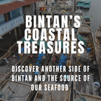 Fishy Travels: Bintan's Coastal Treasures