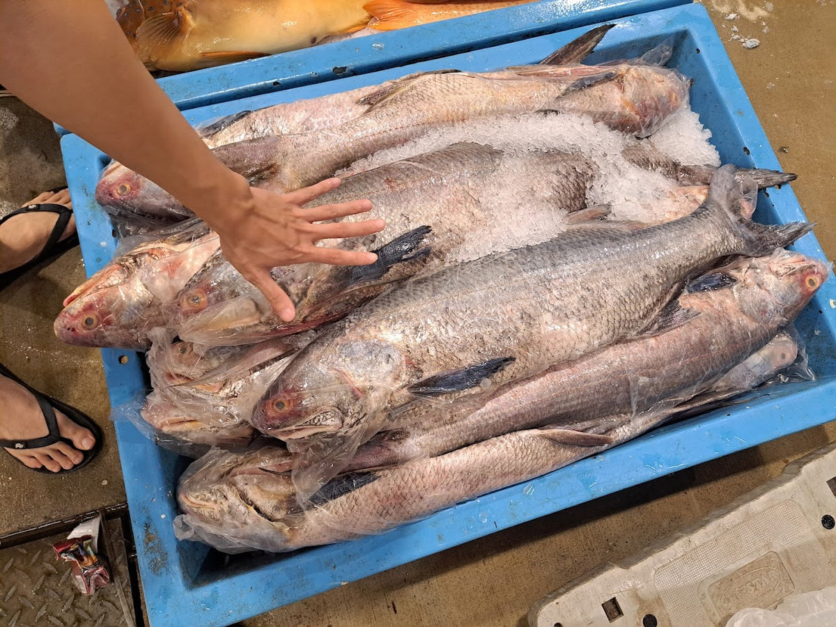 Pasarfish