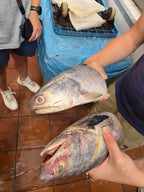 SG Local Fish Tour @ Tekka Market
