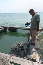 Fishy Travels: Bintan's Coastal Treasures