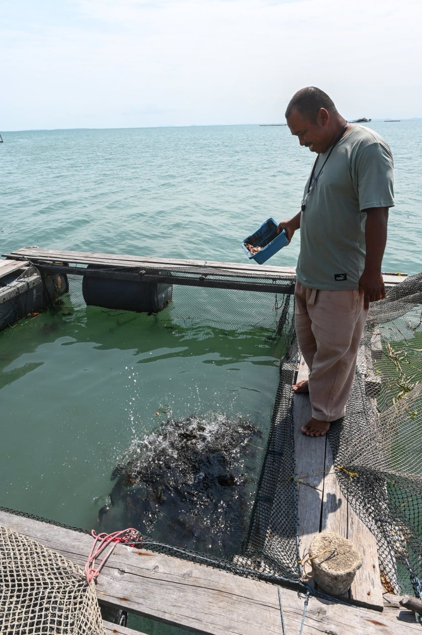 Fishy Travels: Bintan's Coastal Treasures