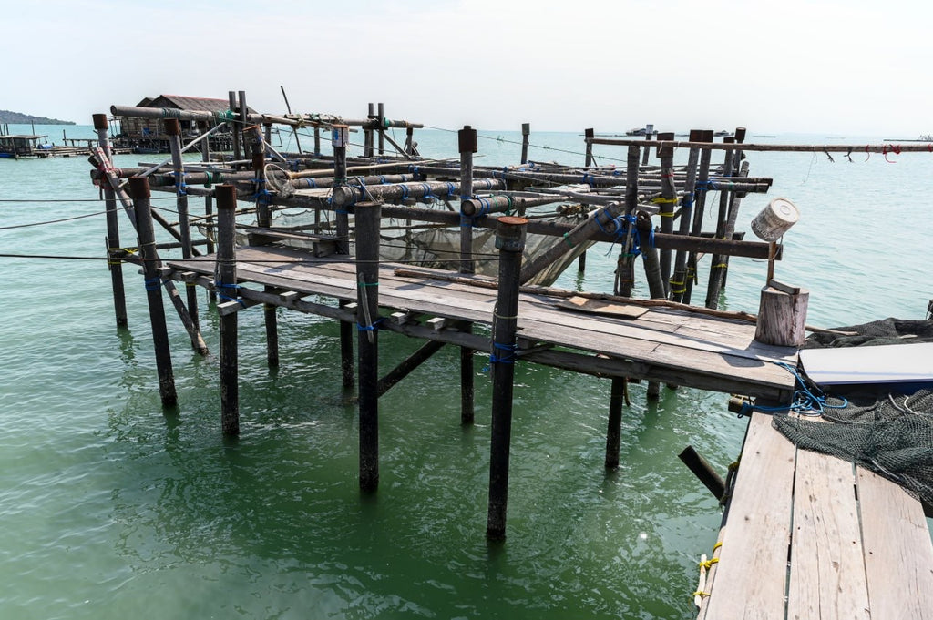 Fishy Travels: Bintan's Coastal Treasures