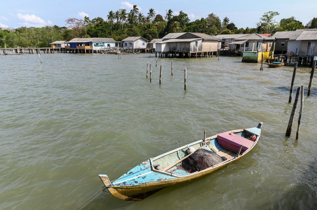 Fishy Travels: Bintan's Coastal Treasures