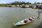 Fishy Travels: Bintan's Coastal Treasures