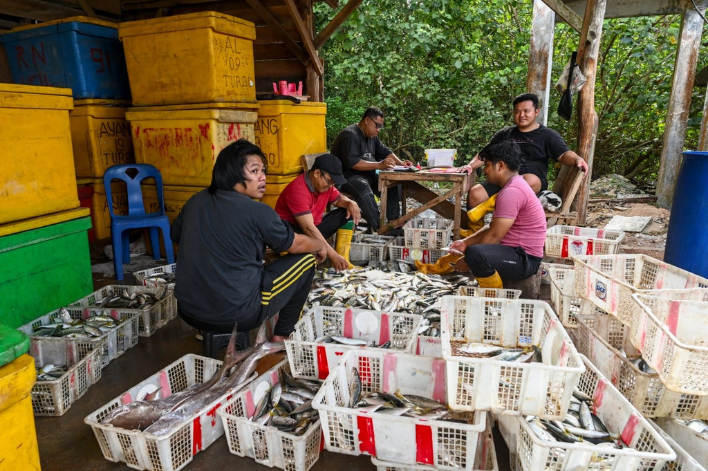 Fishy Travels: Bintan's Coastal Treasures