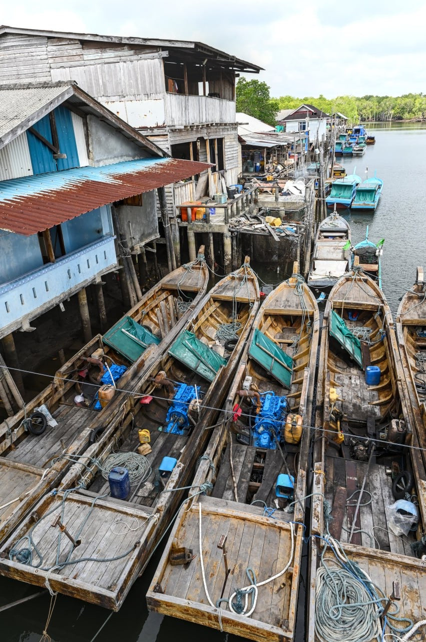 Fishy Travels: Bintan's Coastal Treasures