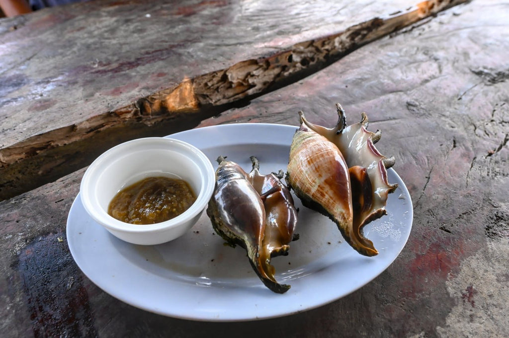 Fishy Travels: Bintan's Coastal Treasures