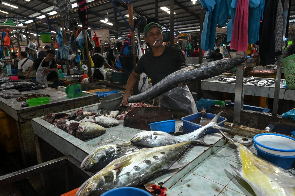 Fishy Travels: Bintan's Coastal Treasures