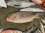 Fish to Port - Fishery Port Tour [SG HeritageFest]