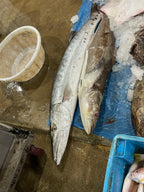 Fish to Port - Fishery Port Tour [SG HeritageFest]