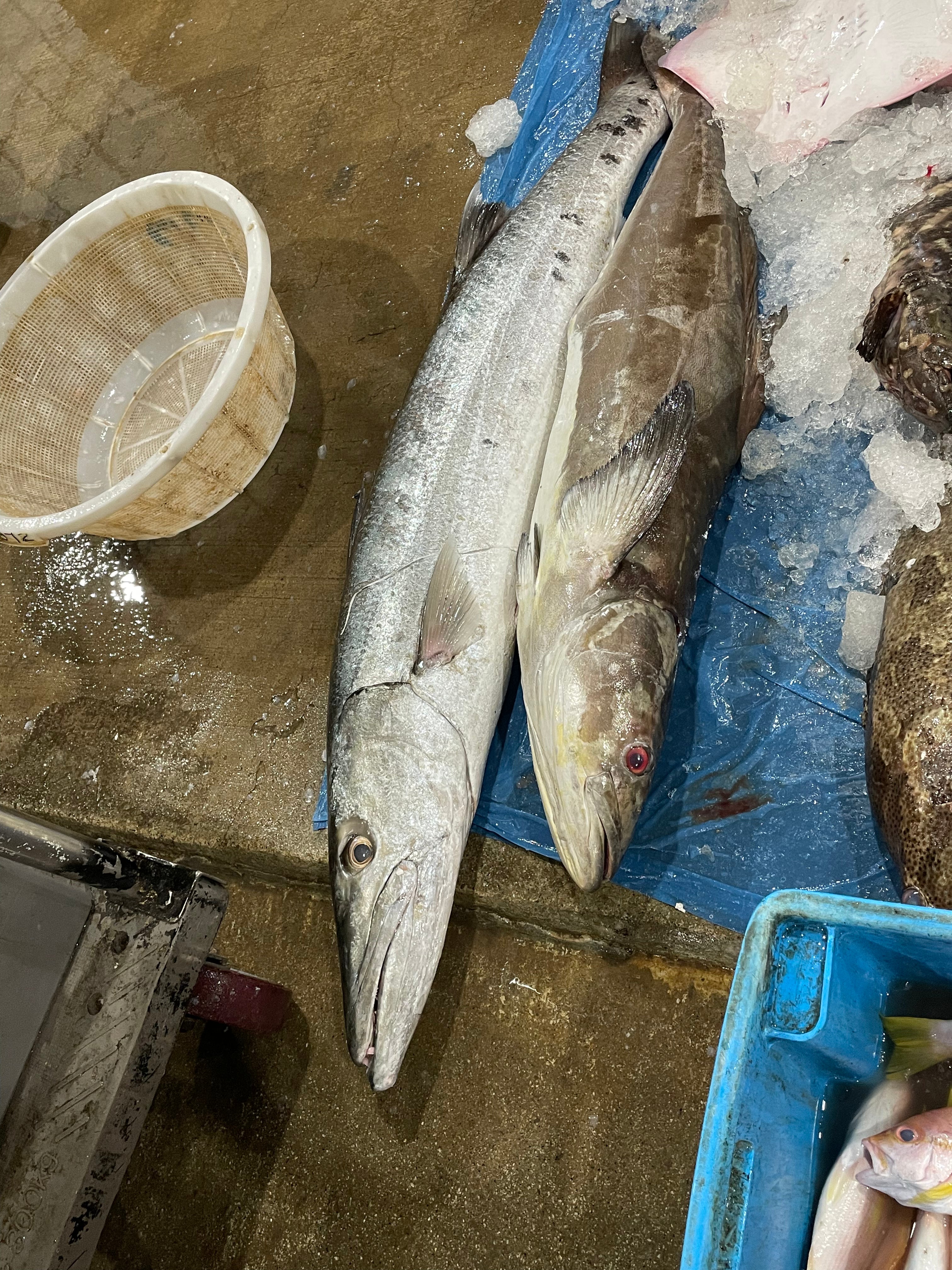 Fish to Port - Fishery Port Tour [SG HeritageFest]