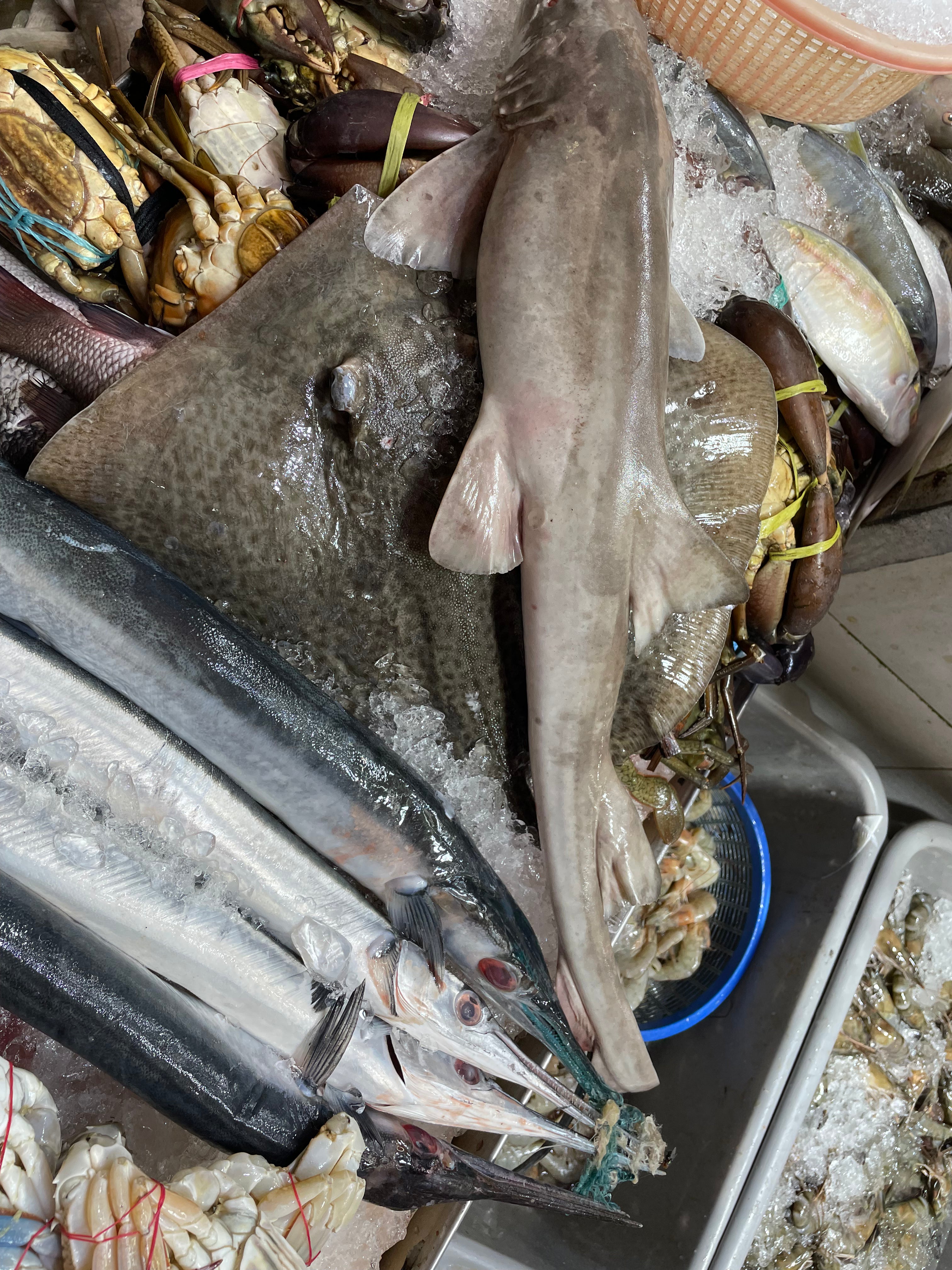 'Know Your Fish' Market Tour