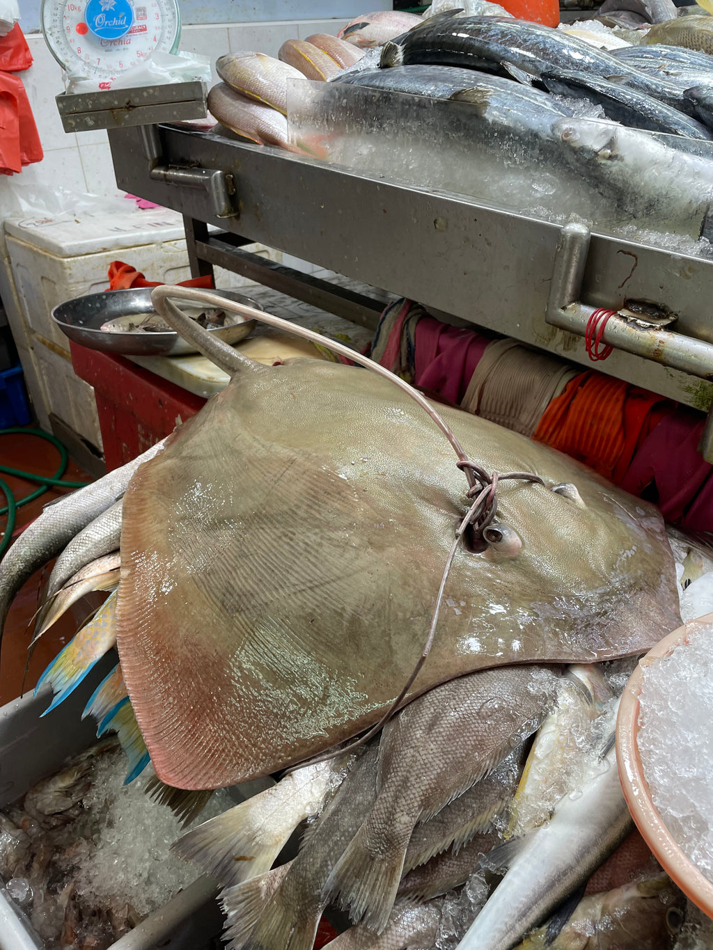 'Know Your Fish' Market Tour