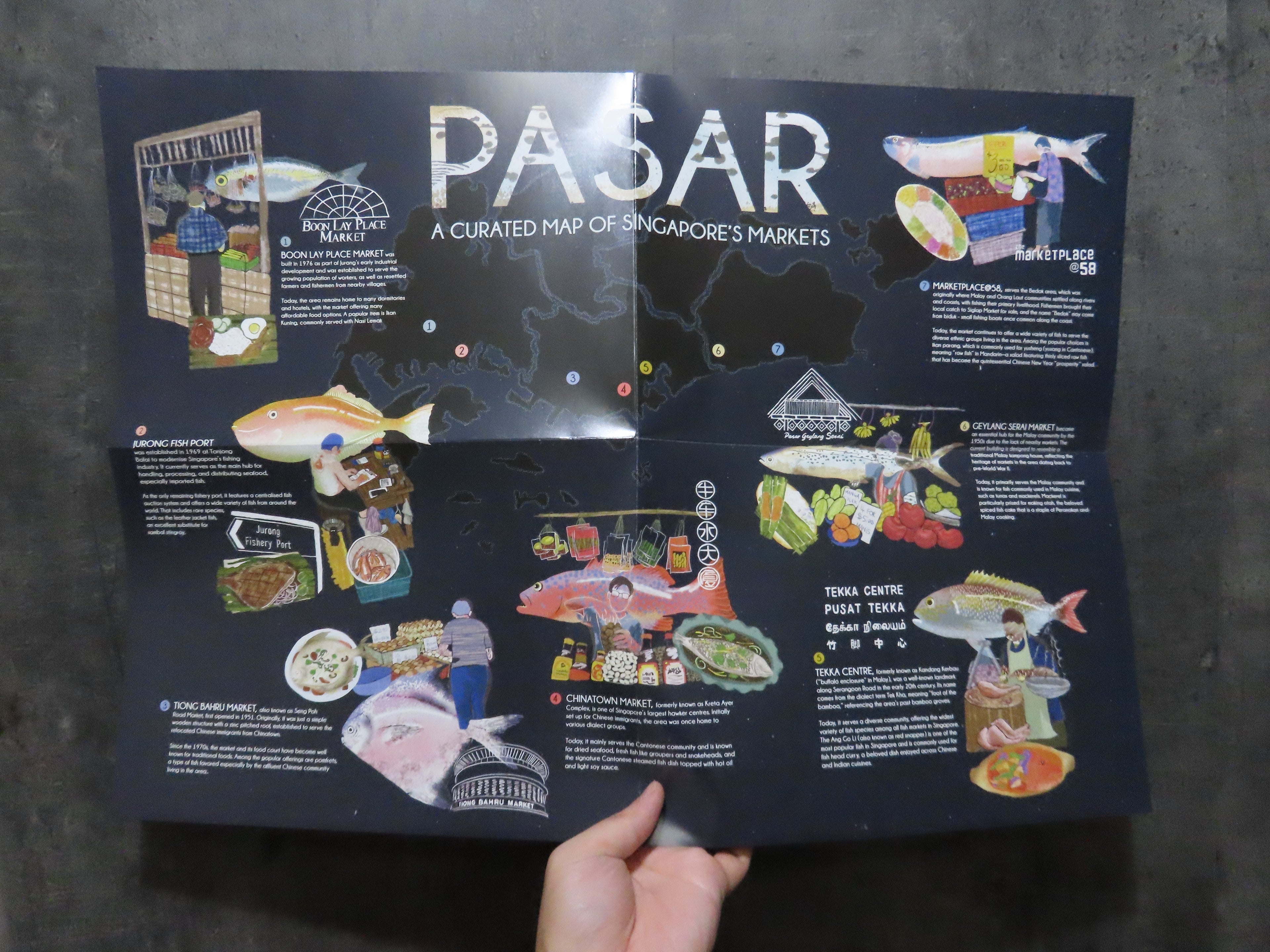 A Fish For Every Dish - Collector's Set