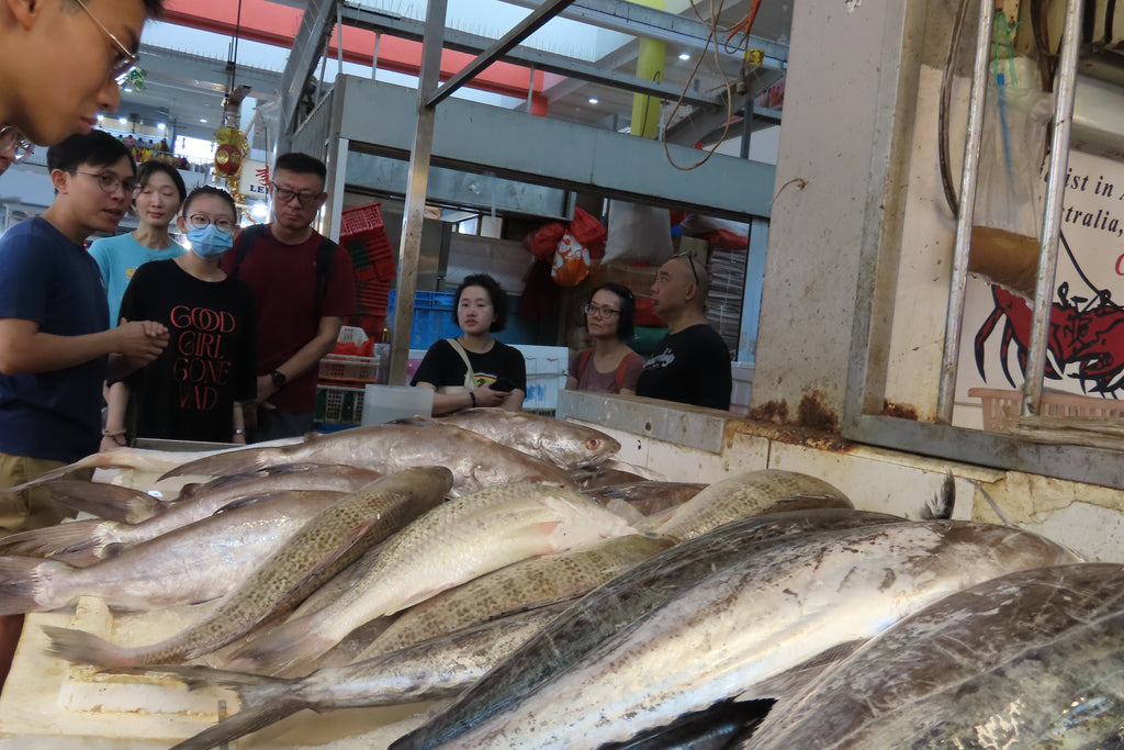 SG Local Fish Tour @ Tekka Market