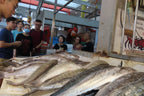 SG Local Fish Tour @ Tekka Market