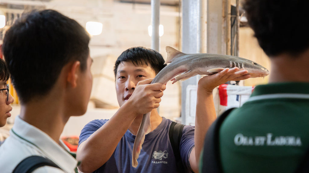 SG Local Fish Tour @ Tekka Market