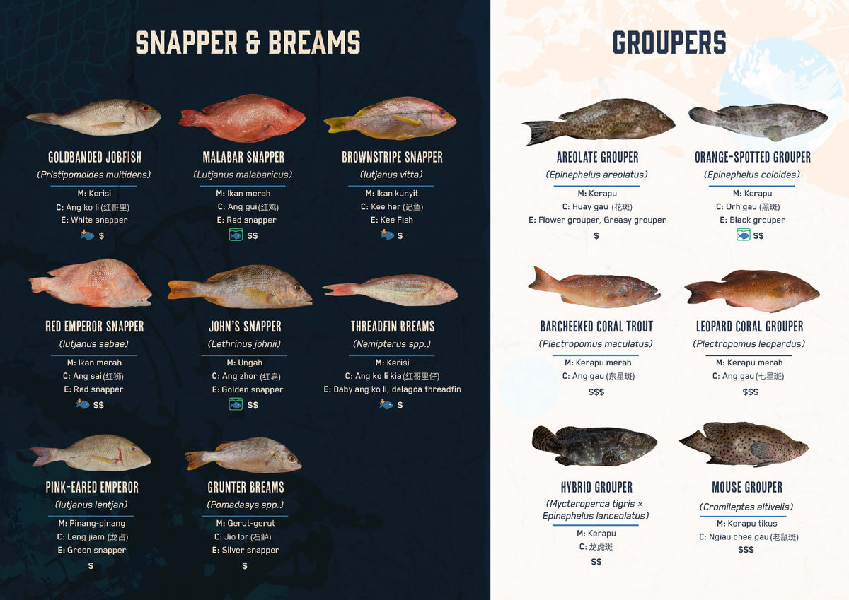 Pasarfish