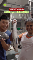 'Know Your Fish' Market Tour