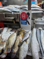 SG Local Fish Tour @ Tekka Market