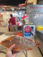 SG Local Fish Tour @ Tekka Market
