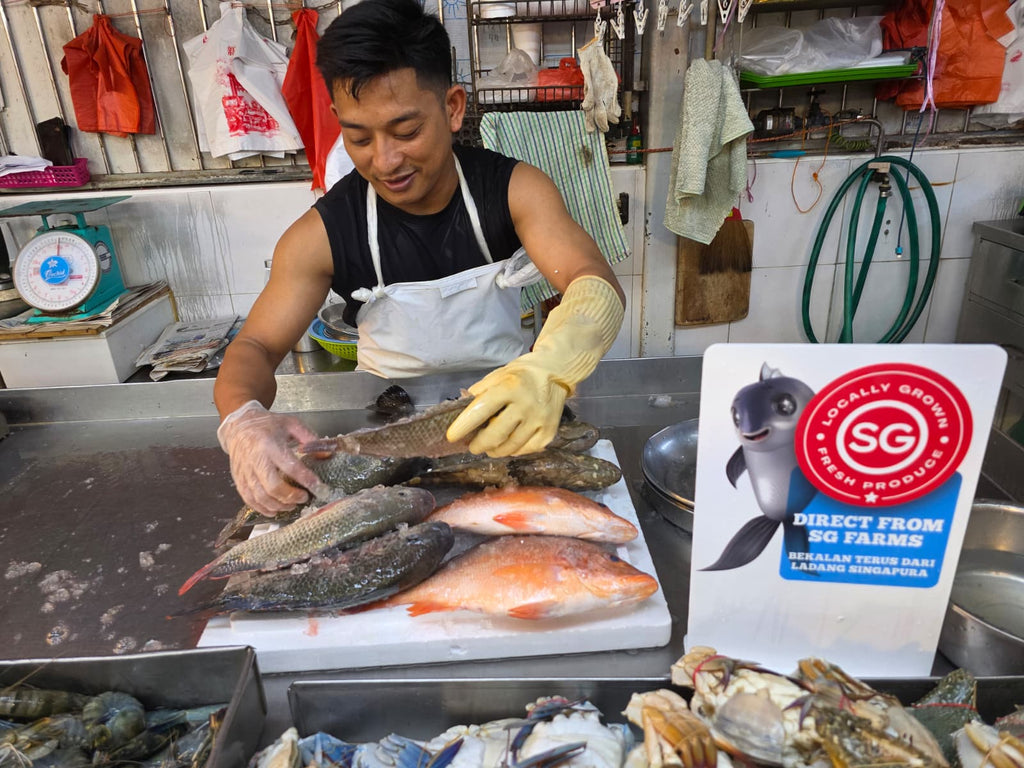 SG Local Fish Tour @ Tekka Market